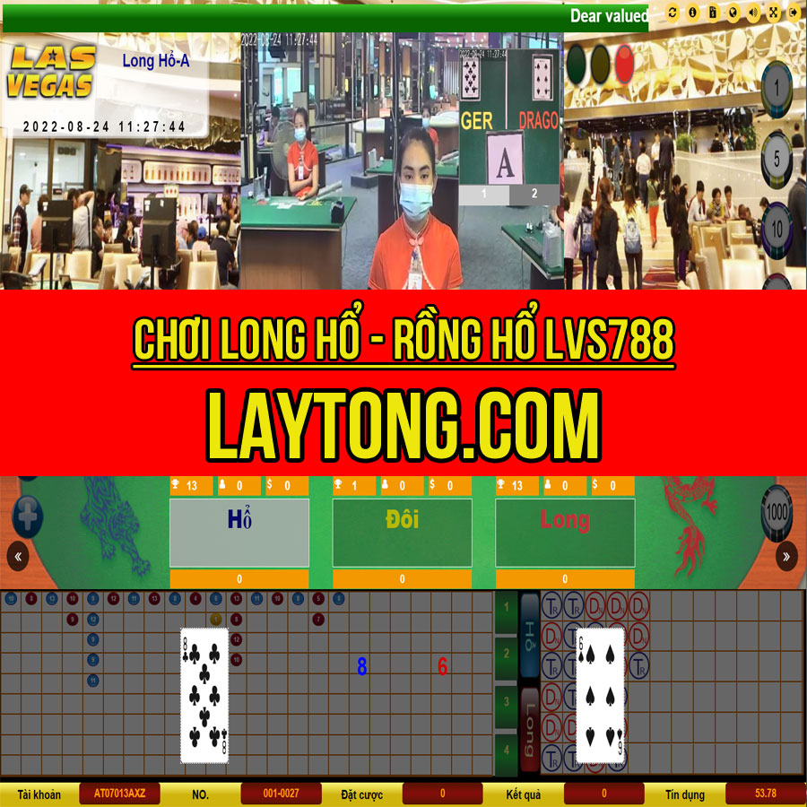 Long hổ – Rồng hổ LVS788